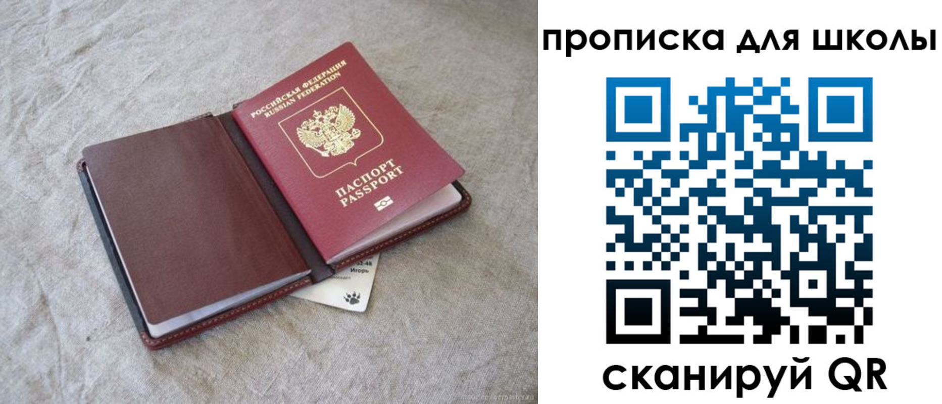 прописка штамп в Королёве
